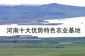 8月19日，河南省政府發(fā)布了關于深入推進農(nóng)業(yè)供給側(cè)結(jié)構(gòu)性改革 大力發(fā)展優(yōu)勢特色農(nóng)業(yè)的意見