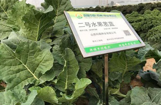 10月23日，中國（鄭州）種業(yè)博覽會(huì)將在河南省鄭州市中牟縣官渡鎮(zhèn)鄉(xiāng)謠農(nóng)場舉辦