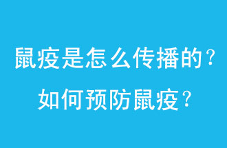 鼠疫是怎么傳播的？如何預(yù)防鼠疫？